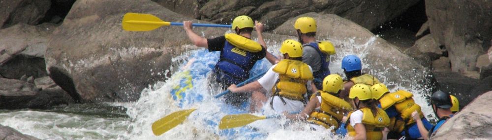 Projektkrisen abwenden.