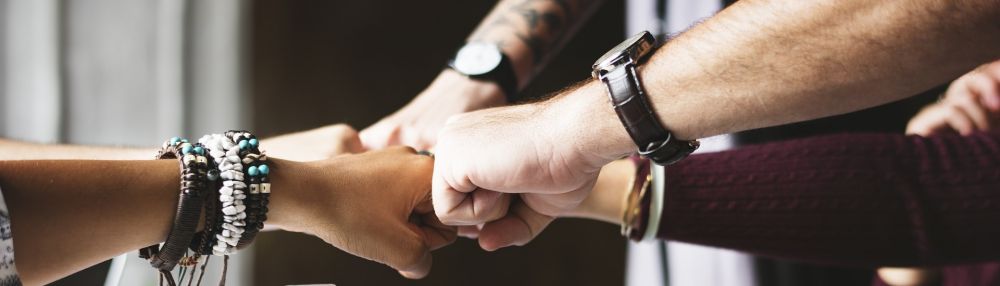 Den Projektalltag meistern.